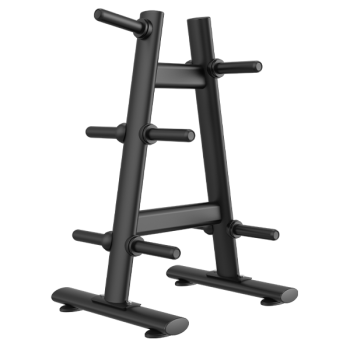 Стойка для дисков MAXGYM ZH41 профессиональная васил - Спортивный интернет магазин товары для бассейна