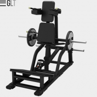 GLT PL31       vasil-gym -      