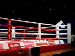 ���� ���������� ���-����� "AIBA" �� ������� - ���������� �������� ������� ������ ��� ��������