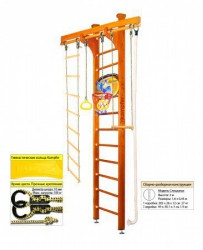 �������� ������ Kampfer Wooden Ladder Ceiling Basketball Shield s-dostavka - ���������� �������� ������� ������ ��� ��������