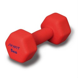 ������� Skyfit SF � ND5k 5�� � �������������� �������� - ���������� �������� ������� ������ ��� ��������