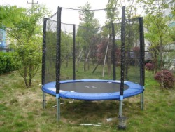 ����� DFC ����������� TRAMPOLINE FITNESS 6FT-TR-E � ������ - ���������� �������� ������� ������ ��� ��������