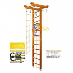 �������� ������ Kampfer Big Sport Ceiling Basketball Shield s-dostavka - ���������� �������� ������� ������ ��� ��������