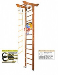�������� ������ Kampfer Little Sport Ceiling Basketball Shield s-dostavka - ���������� �������� ������� ������ ��� ��������