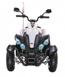 ������� ����������������� P222PP ����� - ���������� �������� ������� ������ ��� ��������