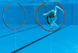 ����� ABSOLUT SYSTEMS 001010 �������-������� - ���������� �������� ������� ������ ��� ��������