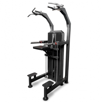   100  BRONZE GYM PARTNER ML-823  vasilgym -      