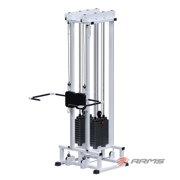    ,  3    ARMS -      